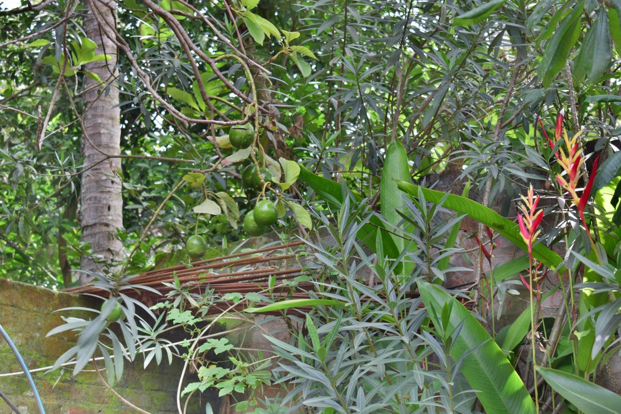 Silent Waters Resorts Yelagiri Luaran gambar