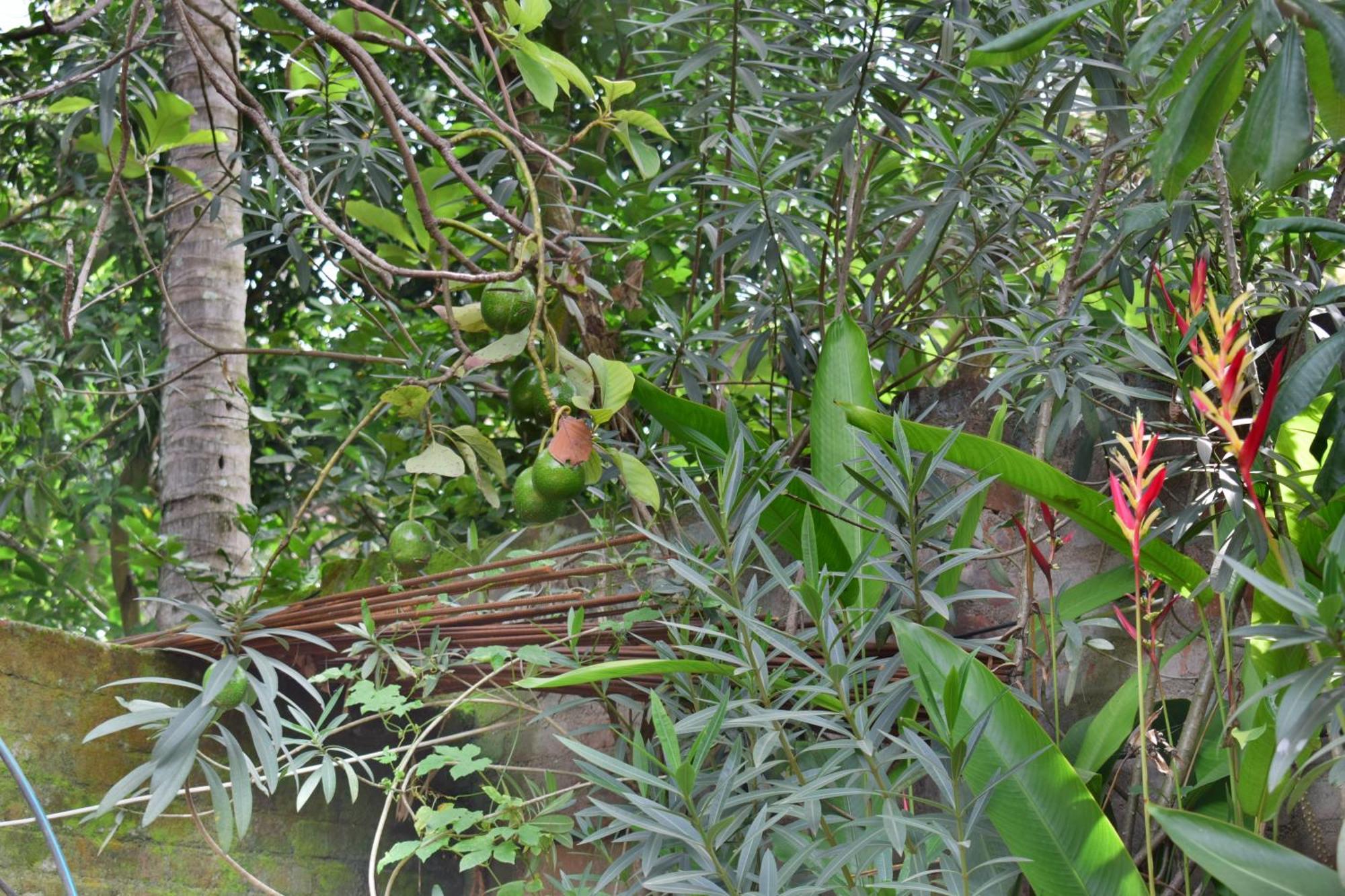 Silent Waters Resorts Yelagiri Luaran gambar