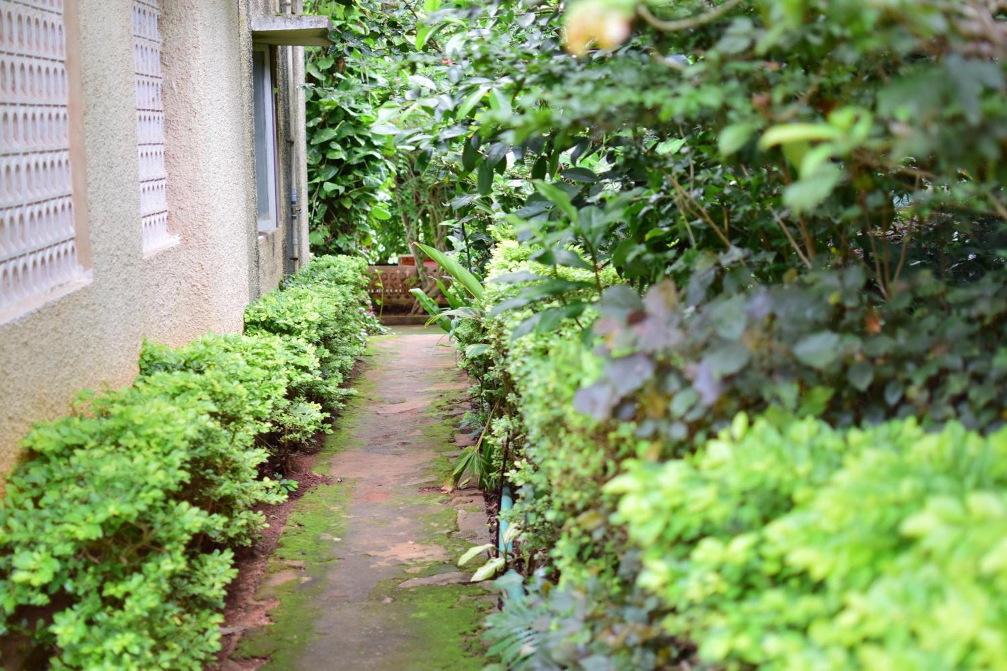 Silent Waters Resorts Yelagiri Luaran gambar