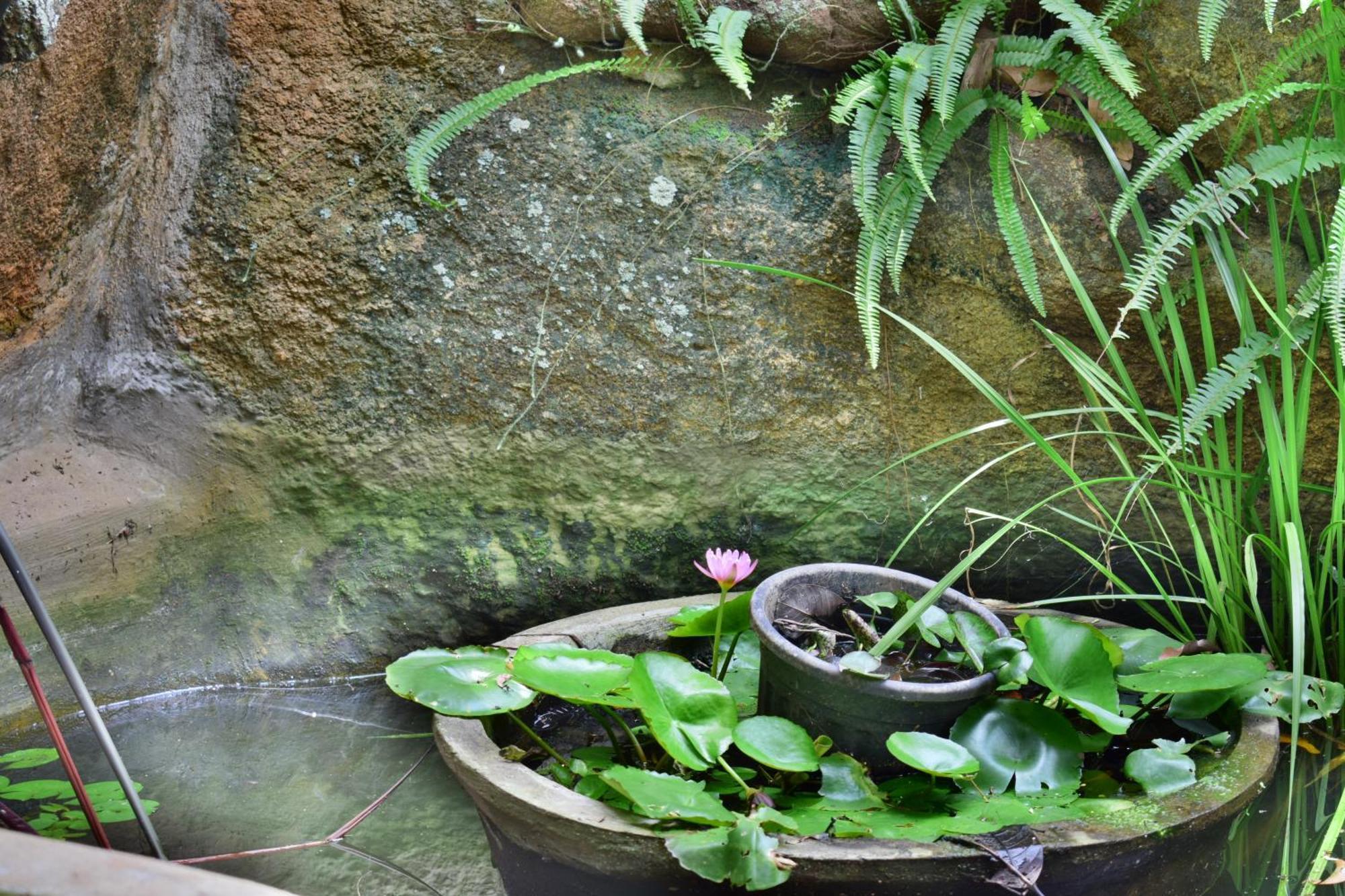 Silent Waters Resorts Yelagiri Luaran gambar