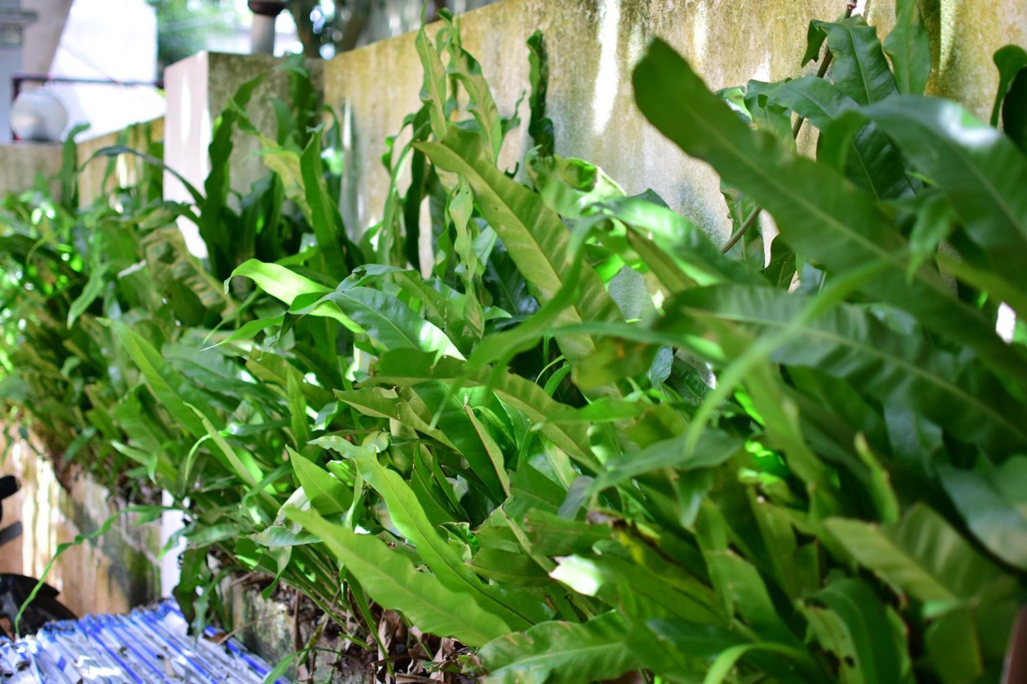 Silent Waters Resorts Yelagiri Luaran gambar