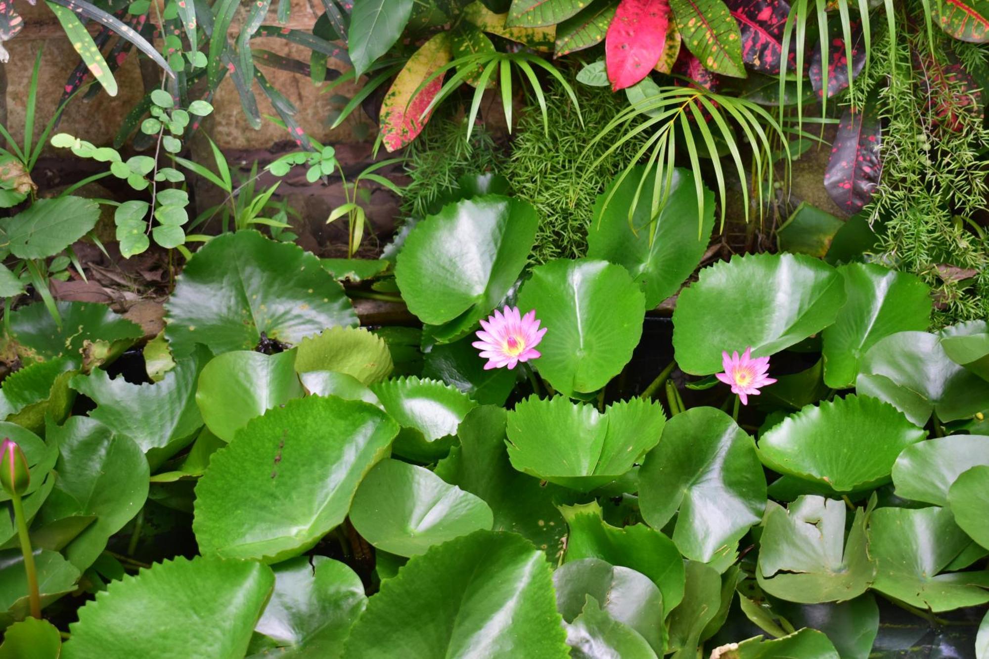 Silent Waters Resorts Yelagiri Luaran gambar